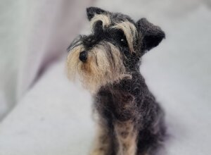 20251207_175941.jpeg 20251207_175941.jpeg