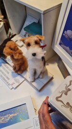fox-terrier