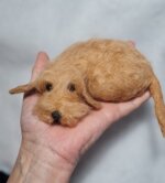 bassottino-foglia-secca-accoccolato