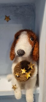 il-mendicante-di-stelle