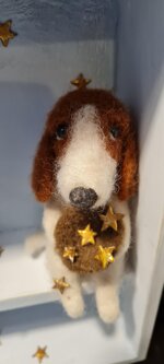 il-mendicante-di-stelle