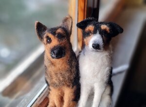 20250911_165505.jpeg 20250911_165505.jpeg