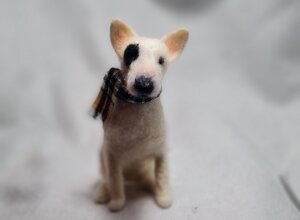 20251030_084933.jpeg 20251030_084933.jpeg