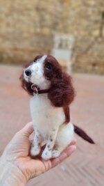 springer-spaniel