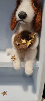 il-mendicante-di-stelle