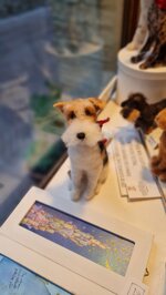 fox-terrier