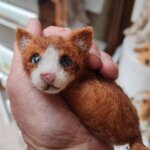 gattino-rosso-accoccolato