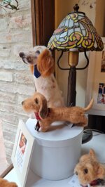 bassotto-foglia-secca