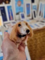 milo-cercatore-di-storie