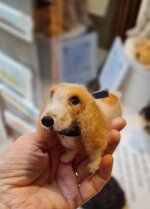 milo-cercatore-di-storie