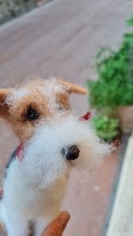 fox-terrier
