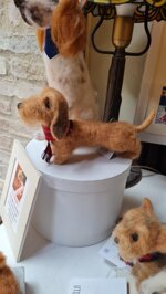 bassotto-foglia-secca