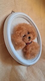 barboncino-in-cornice