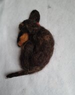 bassotto-dormiglione