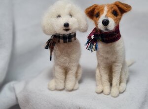 20251215_103258.jpeg 20251215_103258.jpeg