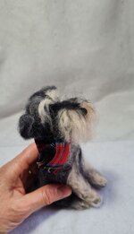 schnauzer