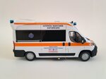 fiat-ducato-x290-regione-calabria-allestimento-aricar