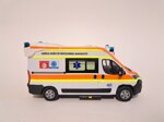 fiat-ducato-x290-ambulanza-118-regione-marche