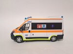 fiat-ducato-x290-118-potes-senigallia