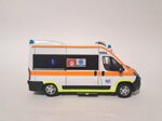 fiat-ducato-x290-118-potes-senigallia