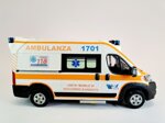 fiat-ducato-x290-118-fano