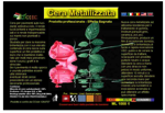 cera-metallizzata-ml-1000