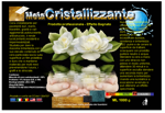 cera-cristallizzante-ml-1000