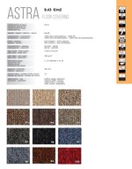 moquette-boucle-astra