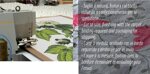your-personal-carpet-saten