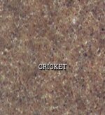 corsia-cricketcricket-l