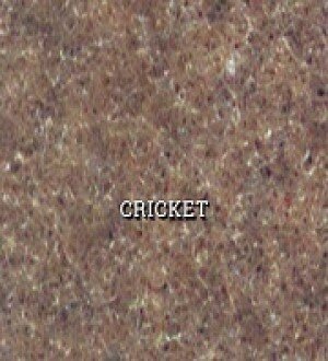corsia-cricketcricket-l