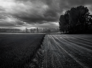 05_questa_immagine_4x_alta_definizione1_50percent
