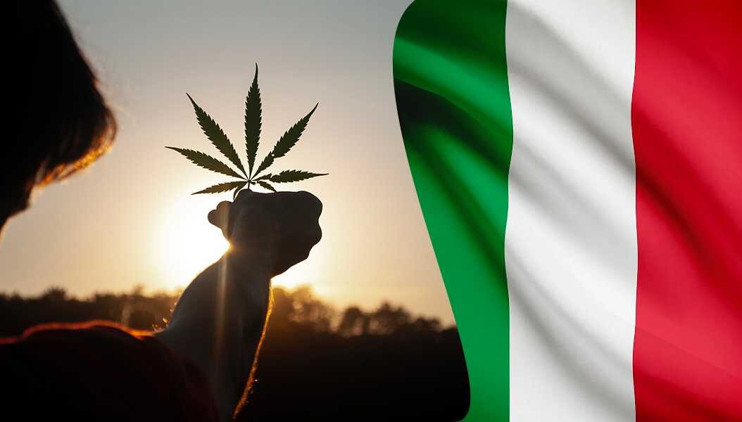 Confusione sulla Cannabis Light: Puoi Tranquillamente Trovarla nei Negozi