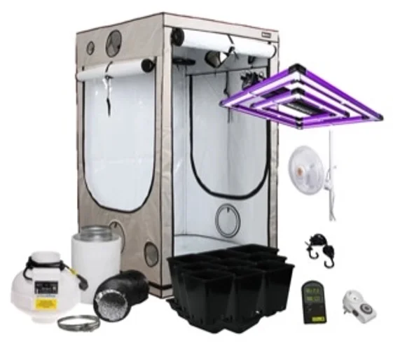 be6b894a-860f-4ee6-ab1c-c91bec4b08ee