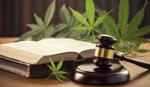 Decretando il Futuro: Implicazioni e Dibattiti sulla Regolamentazione del CBD in Italia