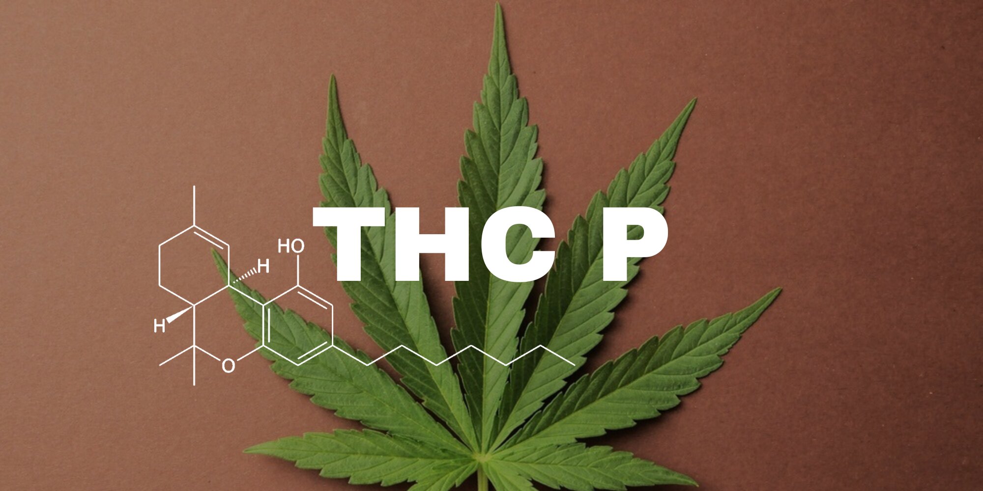 THCP Delta-9-tetraidrocannabiforo, cos'&egrave;?