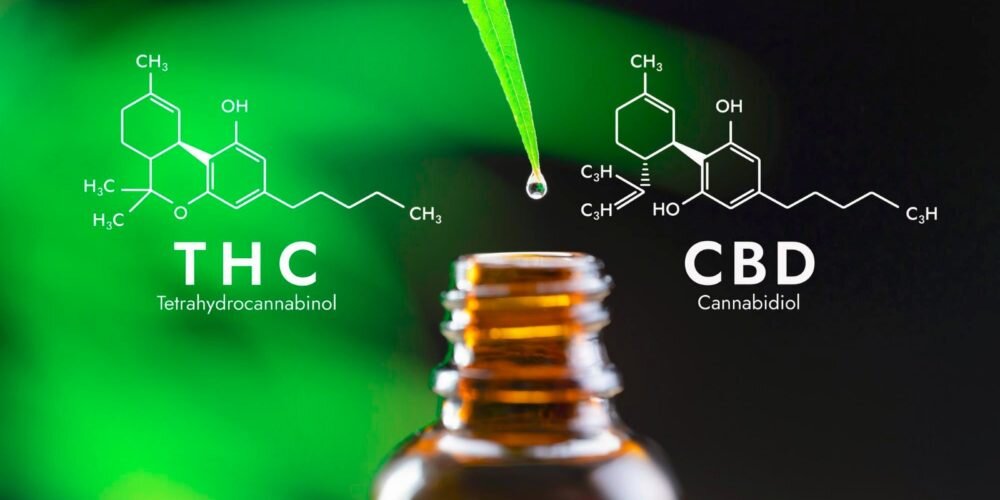 Il Ministero della Salute inserisce l&rsquo;olio CBD tra i farmaci stupefacenti