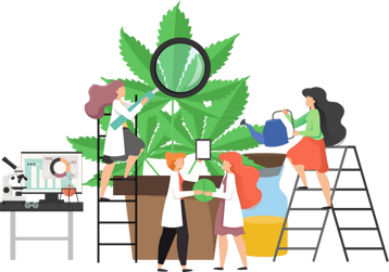 70338be1-b953-49c0-b6a7-bfc84f433ed4