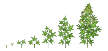 021a9bdf-de43-4f50-8155-0a6be64fcfe2