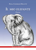 il-mio-elefante