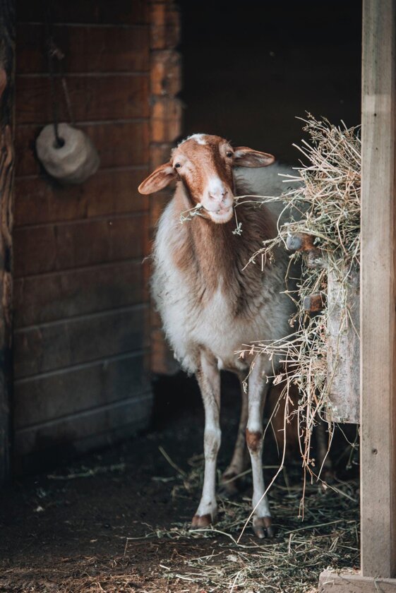 01ecadcb-7c13-4957-b48f-0d9b5ce844ac