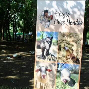 ff60fd7c-2972-47d0-886c-73ede9eeefb1