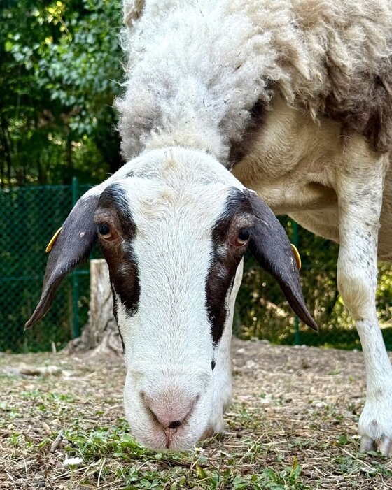 618ae449-a0bd-4c89-bdd8-69a763069b9b