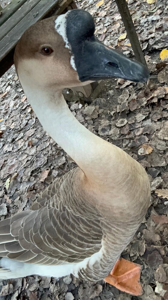 32ec7e2b-9e8b-4e0e-85c4-661dcba9f972