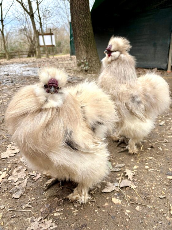 2932662c-bda5-4a52-ae0a-da0f3b557ddd