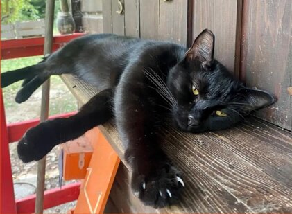 dbc2736d-75e4-42d7-93b4-d747d57074a2