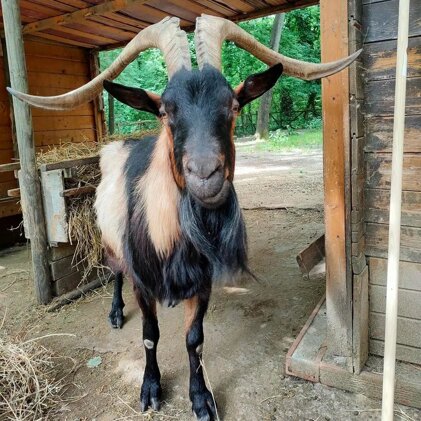 47bbd578-b45e-4caa-bc7b-45e9d19f6bde