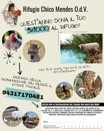 2e239e75-1b7e-4749-97c3-a906b72ff1ab