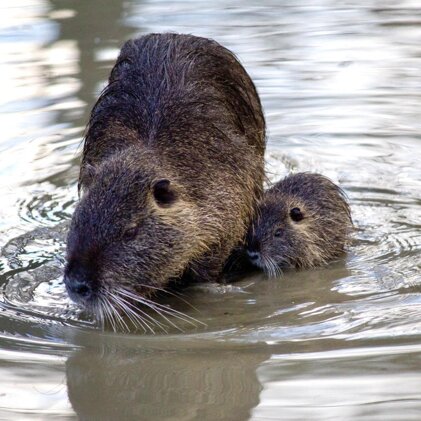 2b80f7a3-7881-4f06-90db-3f012d8eb078