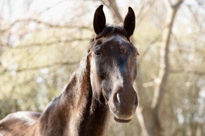 23fe5506-56fa-4ea7-827e-62a1d1eb7851